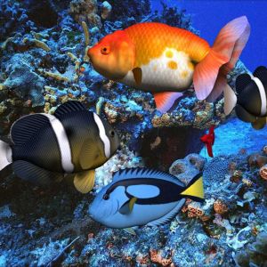 Peixes tropicais coloridos debaixo d'água