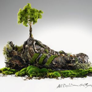 Arte de sapato inspirado na natureza