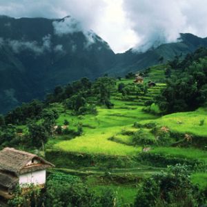 Paisagem montanhosa verdejante