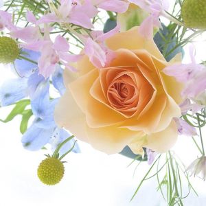 Linda Composição Floral