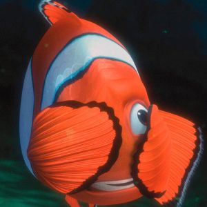 Peixe-palhaço debaixo d'água
