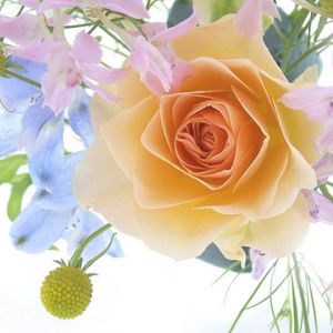 Linda Composição Floral