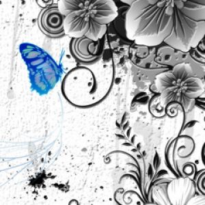 Arte Floral com Borboleta