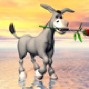 Burro Fofo com Rosa