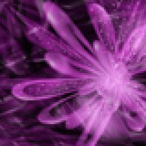 Design de Flor Abstrata Roxa