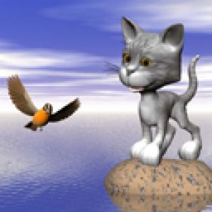 Gato e Pássaro Fofo