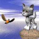 Gato e Pássaro Fofo