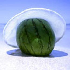 Melancia na Praia