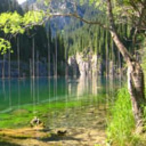 Lago de Montanha Sereno
