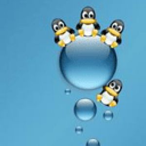 Pinguins Fofos em Gotas de Água