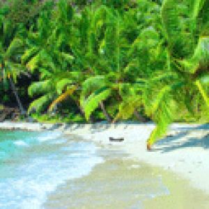 Paraíso Tropical