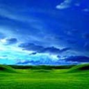 Paisagem Verde Vibrante