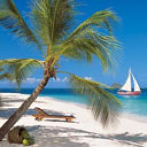 Paraíso da Praia Tropical