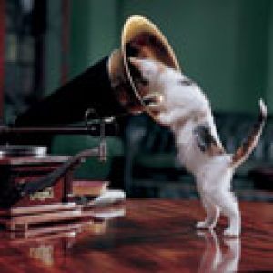 Gato Ouvindo o Gramofone