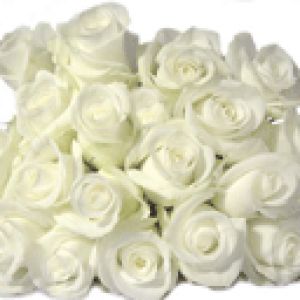 Buquê de Rosas Brancas