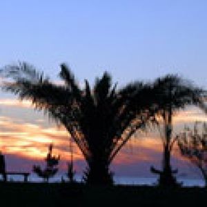 Pôr do Sol Sobre Palmeiras