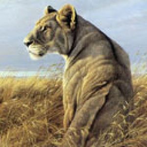 Leoa Majestosa na Natureza