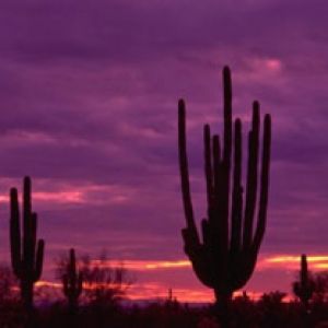 Deslumbrante Pôr do Sol no Deserto