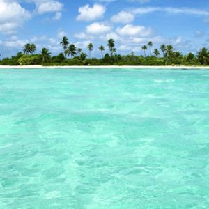 Paraíso da Praia Tropical