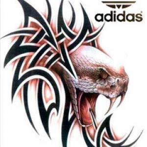 Arte Tribal de Cobra com Logo Adidas