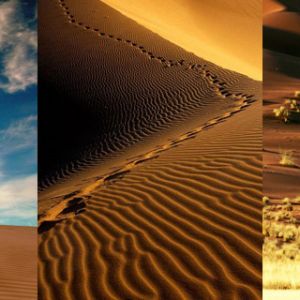 Serenidade da Paisagem Desértica