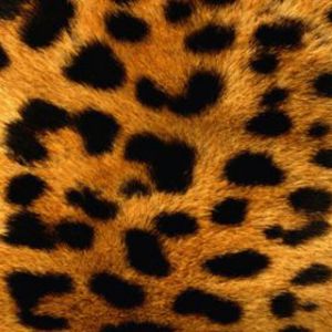 Padrão de Leopardo