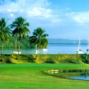 Paisagem Tropical