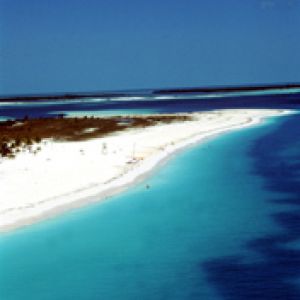 Paraíso da Praia Tropical