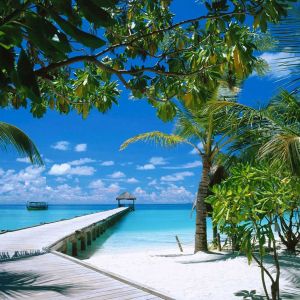 Paraíso da Praia Tropical