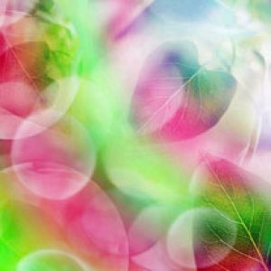 Folhas Abstratas Coloridas
