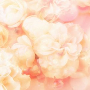 Fundo Floral Rosa Suave