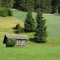 Paisagem Verde Serena com Cabana