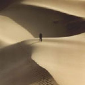 Paisagem de Dunas do Deserto