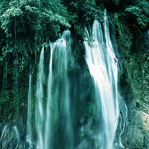 Cascata Serena em uma Floresta Luxuriante