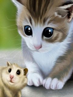 Gato e Hamster Fofos