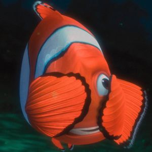 Peixe Palhaço Colorido Abaixo da Água