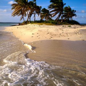 Paraíso Tropical