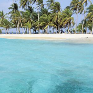 Praia do Paraíso Tropical