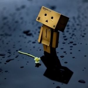 Figurinha Danbo Fofa com Flor