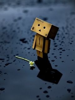 Figurinha Danbo Fofa com Flor