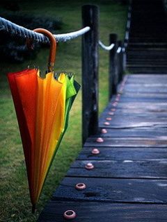 Guarda-chuva Colorido em um Caminho