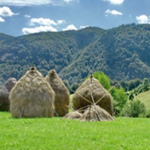 Paisagem montanhosa pitoresca