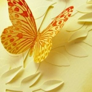Arte de Borboleta Colorida