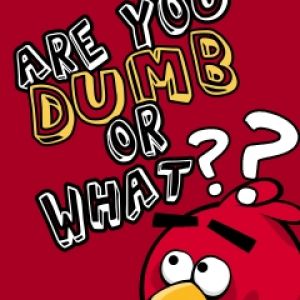 Citação Engraçada Angry Birds