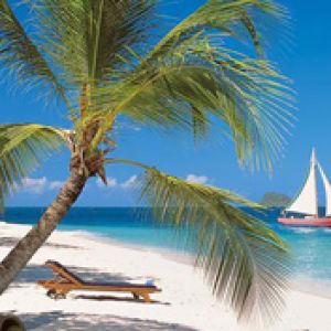 Paraíso Tropical