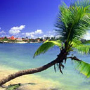 Paraíso Tropical