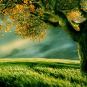Paisagem de Outono Serena