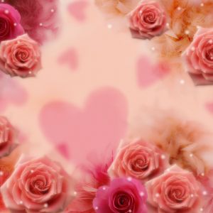 Rosas Rosadas Românticas