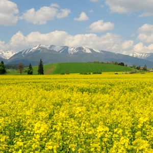 Bela paisagem montanhosa