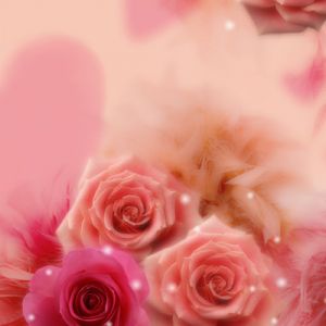 Fundo de Rosas Românticas